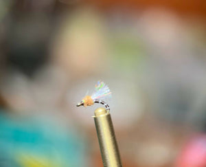 Midge pack - 2 dozen flies, 4 proven patterns!