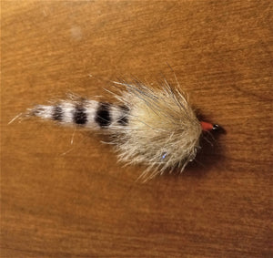 StupidSimpleShrimp