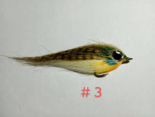 Load image into Gallery viewer, Big Eye Polar Baitfish