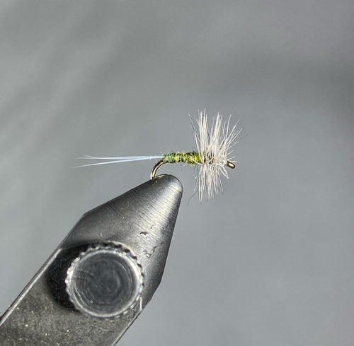 Blue Wing Olive