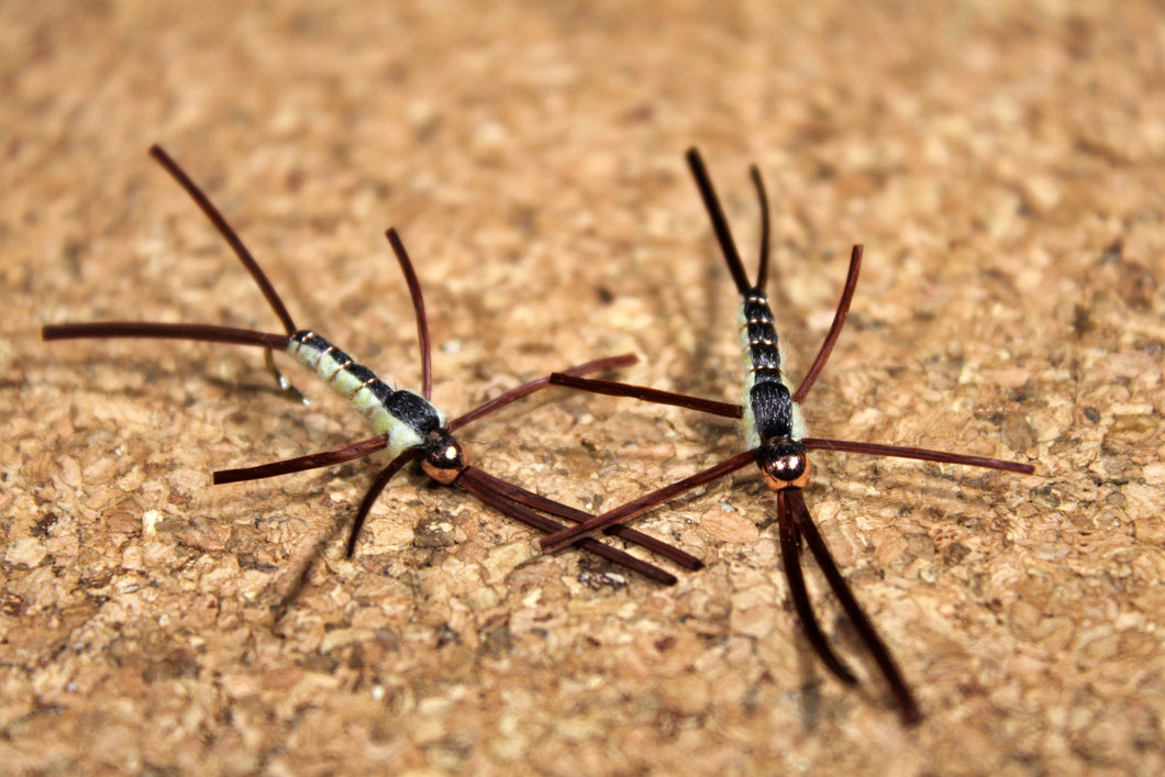 AB Golden Stonefly