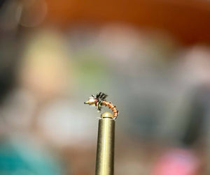 Midge pack - 2 dozen flies, 4 proven patterns!