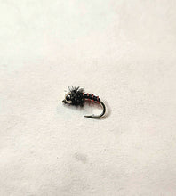 Load image into Gallery viewer, Zebra Midge