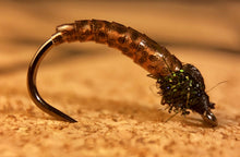 Load image into Gallery viewer, Caddis larva