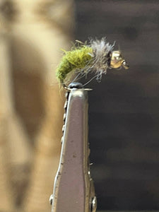 Fur Caddis Larva